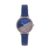 French Connection Spring-Summer 2021 Analog Blue Dial Women’s Watch-FCN0008G-R
