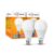 Wipro Garnet 26W Led Bulb For Home & Office |Cool Day White (6500K) | B22 Base|220 Degree Light Coverage |4Kv Surge Protection |400V High Voltage Protection |Energy Efficient | Pack Of 2