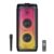 AKAI PM-100P Bluetooth Power Party Speaker Portable 100W RMS | Home Theater Sound System | Wireless Mic with Recording | Karaoke, TWS, BT, AUX, USB, TF Card, Guitar Input | 5 Hours Playtime Deep Bass