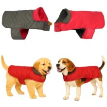 Sage Square Double-Sided Quilted Dog Jacket – Weather-Resistant, Lightweight, Waterproof, Designed For Comfort & Warmth, Adjustable Fit, Perfect For Indoors Or Outdoors (Quilt Red, Xxl – 22 Inch)