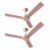 Havells 1200Mm Enticer Energy Saving Ceiling Fan (4 stars, Rose Gold, Pack Of 2)