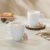 Larah by BOROSIL Tea/Coffee Orbit White Opalware Mug, Microwave & Dishwasher Safe, Bone-Ash Free, Crockery Set Ideal for Daily Use & Gifting (Orbit, 240ml x 2pc)