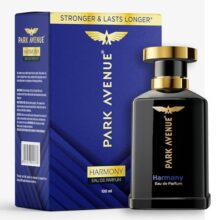 Park Avenue Harmony, Eau De Parfum Men, 100ml | Long Lasting Perfume for Men | Premium Luxury Fragrance Scent | Aromatic Blend of Patchouli, Musk & Vetiver | Suitable for Every Occasion