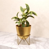 Lifelong Metal Plant Stand Indoor Planter Pot with Stand, Decorative Plant Holder for Living Room Bedroom Office, Minimalist Home Decor, Small Flower Pot Stand for Tabletop Indoor Plants