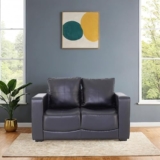 Peachtree Orchid 2 Seater Sofa for Living Room, Mango Wooden Frame & Iron Leg | 3 Year Warranty, PU Leatherette Sofa with 2 Cushions for Dining Room | Padded Armstyle (Black)