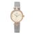 Daniel Klein Analog Silver Round Dial Rose Gold Case Silver Mesh Strap Water-Resistant Wrist Watch for Women Girls, Ladies DK11914-2