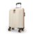 Safari Thorium Royale 8 Wheels 55cm Cabin Trolley Bag Hard Case Carry-on Polycarbonate Luggage, TSA Lock, Wet Pouch Organized Interior, Suitcase for Travel, Trolley Bags for Travel, Vanilla Tan