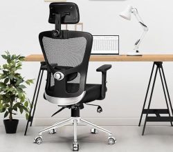 Da URBAN® Mexico Pro High Back Mesh Ergonomic Office Chair with 3 Years Warranty, Adjustable Armrests,Adjustable PU Pads,Adjustable Lumbar Support,Smart Any-Angle Tilt Lock Mechanism (Black)