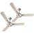 Havells 1200mm Festiva ES Ceiling Fan| Premium Finish| Energy Saving| Designer Fan for Home Decor| Elegant Looks| 230 m³/min Air Delivery| Hi-Speed Low Noise| 100% Copper Motor (Pack of 2, Gold Mist)