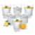 Treo by Milton Aurora Water Tumbler I Premium Glass Set of 6, 310 ml Each for Water, Cold Drink I Perfect for Home, Restaurants and Parties