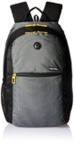 Gear Basic 19 Ltrs Classic Grey Casual Standard Backpack (Bkpecono10412)