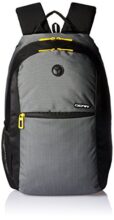 Gear Basic 19 Ltrs Classic Grey Casual Standard Backpack (Bkpecono10412)