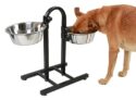 Premiumav Earth-Friendly U Shape Stand Dog Bowl – Large Size Stainless Steel Pet Feeder Made With Rice Husk – Eco-Friendly Food And Water Bowl For Dogs And Pets – 1 Unit Bounded Fusion