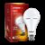 EVEREADY 12 W Inverter Standard B22 D Inverter Bulb(White)