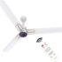 HAVELLS Trinity BLDC with 2 Year Warranty 1200 mm Ceiling Fan(Metallick Black LT Copper | Pack of 1)