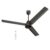 Goldmedal Oryzo Bldc 1200Mm Bee Certified 5 Star Rated Ceiling Fan For Home And Office | Remote Control | Anti Dust | Smooth & Silent Operation (Granite Grey)