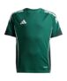 adidas TIRO25C TR JSYY Green