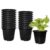 Amazon Brand – Solimo 100% Virgin Plastic Round Nursery Planter Pot | Indoor and Outdoor Flower Pot for Home/Office/Table/Garden/Balcony Decoration | 6 inch, Set of 20 | Black
