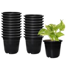 Amazon Brand – Solimo 100% Virgin Plastic Round Nursery Planter Pot | Indoor and Outdoor Flower Pot for Home/Office/Table/Garden/Balcony Decoration | 6 inch, Set of 20 | Black