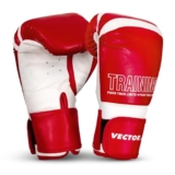 Vector X Training Boxing Gloves For Men & Women Sparring Heavy Punching Bag | Ideal For Boxing, Mma, Muay Thai, And Heavy Bag Training (10 Oz, Red)