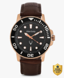 Allen Solly Analog Watch  – For Men