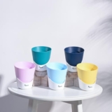 Ugaoo 4 Inch Atlantis Self Watering Planter – Set Of 5 (Multicolour) | Flower Pots For Indoor Plants | Plastic Planter Pots | Decorative Pots For Living Room, Kitchen, Office | Planters For Home Decor