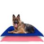 AMORITE Waterproof Reusable Washable Pee Pads & Hygenic Pet Dry Sheet | Training Pads for All Pet | Size- 140 x 100 Large Combo (Color, Royal Blue + Salman Rose)