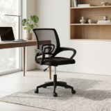 Royaloak Aero Mesh Medium Back Office Chair | Ergonomic Study Chair with Breathable Nylon Mesh, Cushioned Seat & Height Adjustment | 360° Swivel, Fixed Armrests & Smooth Caster Wheels