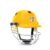 Cricket Helmet SG BLAZETECH Yellow Large