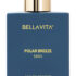 BELLAVITA POLAR BREEZE Perfume for Men|Citrusy & Woody Notes|Long Lasting Fragrance| Eau de Parfum  –  100 ml(For Men)