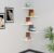 Furniture Café Modern Wooden Corner Wall Shelf with 5 Tiers – Space-Saving Display Rack for Living Room, Bedroom, or Office