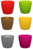 Go Hooked Plastic Outdoor Plants – Multicolor, 5.5 Inch, Pack of 6