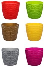 Go Hooked Plastic Outdoor Plants – Multicolor, 5.5 Inch, Pack of 6