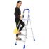 Nippon Paint Floor Guard (Black, 4 L)