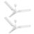 Havells 1200Mm Andria Energy Saving Ceiling Fan (4.2 Stars, Pearl White, Pack Of 2)