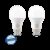 PHILIPS 16 W Eye Safety Compliance Round B22 LED Bulb(White, Pack of 2)