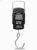Rorian Electric Portable Digital Hanging Scale – 110Lb/50Kg High Precision Portable Hook Scale With Backlit Lcd For Travel And Home – Multi-Purpose Use (Black S1) (3 Months Warranty)