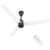 Polycab Wizzy Plus 1200mm 5-Star BLDC, Remote Ceiling fan for Living Room| 55% Energy Saving, 100% Copper, High Air Delivery | 3+1 yr Warranty, Free Installation【Matt White Black】