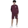 The Indian Garage Co Men’s Regular Fit Polyester Spandex Placement Embroidery Crew Neck Sweatshirt & Shorts