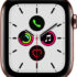 Apple Watch Series 5 GPS + Cellular(Gold Strap, Regular)