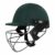 Dsc Fort44 Cricket Helmet For Men & Boys (Adjustable Steel Grill | Back Support Strap |Color: Green | Light Weight | Size :Small