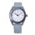 adidas Men Silicone Originals Analog Silver Dial Watch-Aofh22003, Band Color-Blue