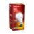 Eveready 14W Emergency Inverter LED Bulb, Cool Day Light (6500K), Rechargeable Bulb with 3 Hours Backup, Ideal for Powercuts, Energy Efficient, B22 Base, Pack of 1