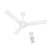 Havells 1200Mm Ambrose Dx Bldc Motor Ceiling Fan For Home | Remote Controlled, High Air Delivery Fan | 5 Star Rated, Upto 60% Energy Saving| Power: 350 Rpm| 2 Year Warranty | (Pack Of 1, White)