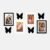 Amazon Brand – Solimo Set of 4 Black & White Photo Frames With Mount Paper (6 X 8 Inch – 2 Pcs Black & 2 Pc White) & Butterfly Plaques