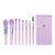 TEMPERIA (Pack of 8) Small Size Makeup Brush Set – Soft Bristles Make Up Brushes Sets Kit for Foundation, Concealers, Eyeshadow, Blush, Compact Face Powder, Highlighter, Contour, Blending Eye Liner – With Pouch (Random Colors)