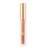 Lakme Powerplay Priming Concealer Built in Primer, Hydrating, Conceals Dark Circles 10 Ivory, 5.4ml (Fashionista Collection)