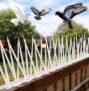 XONOV Bird and Pigeon Spikes, Pigeon Control Spikes Anti Bird Plastic Spikes for AC Balcony Railing Window Home Protection from Pigeon Dog Monkey Crow Kabootar Transparent (Pack of 10 (13 Inch))