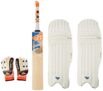BHAJJI Kashmiri Willow Cricket BAT T20 5.0 with BHAJJI Batting Gloves 202 Mens and Batting PAD 202