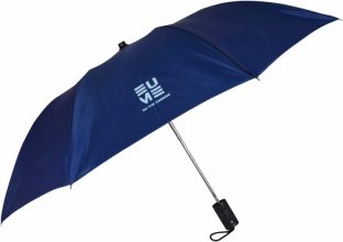 EUME Leatrix 21 Inch (53.34cm) 2 Fold Auto-Open Umbrella(Blue)